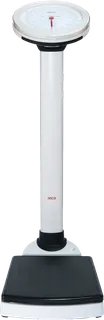 SECA 755: Mechanical column scale, round dial, BMI, with measuring rod (seca 224)